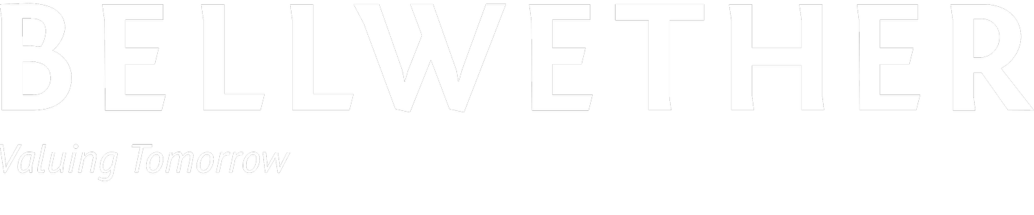 bellwether-hero-section